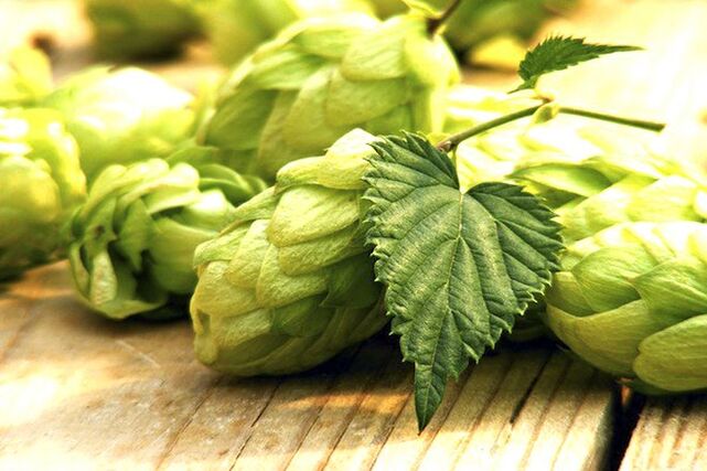 Hop cones to enhance breast dimensions